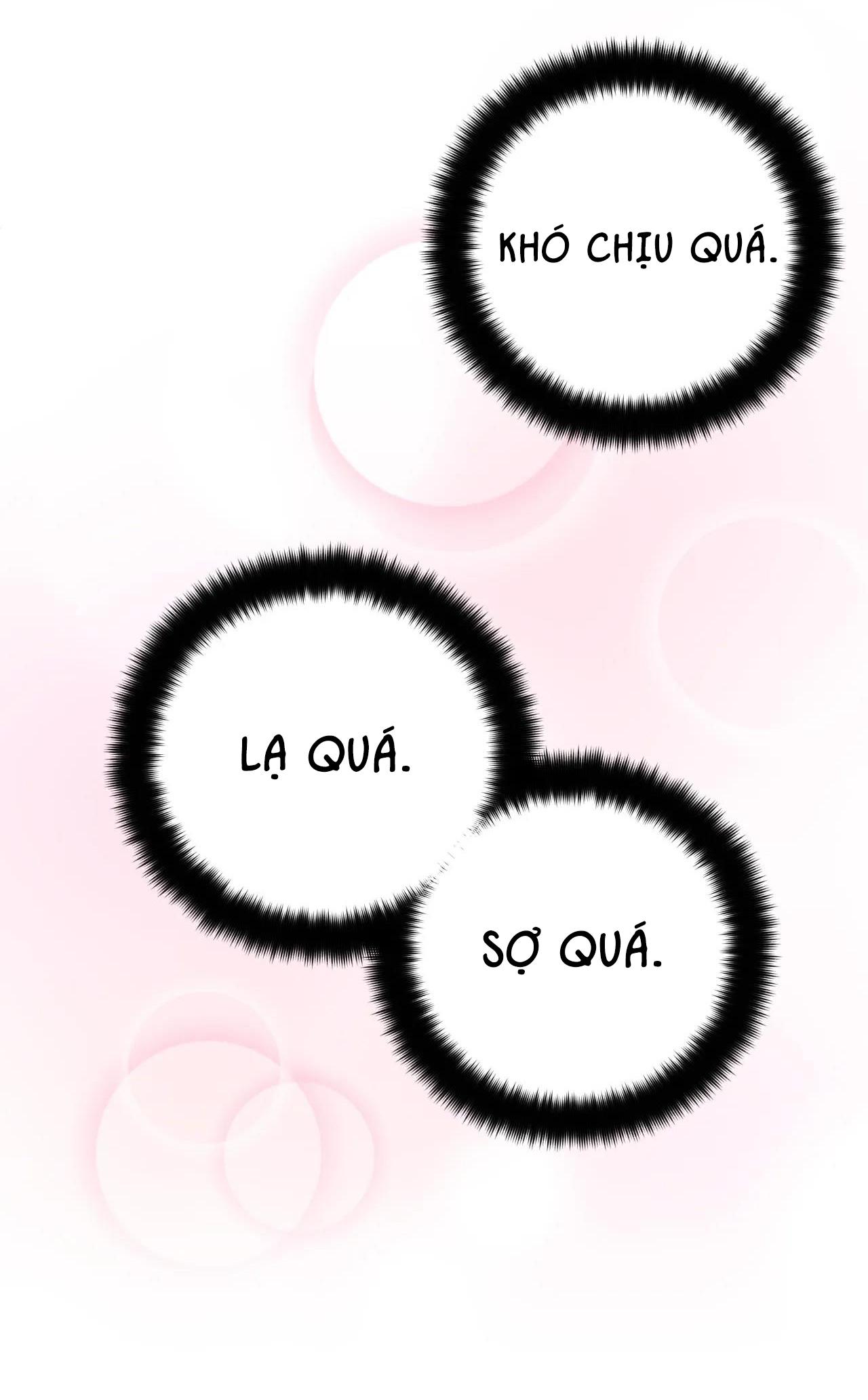 cơn mưa rào mùa hạ chapter 23 23