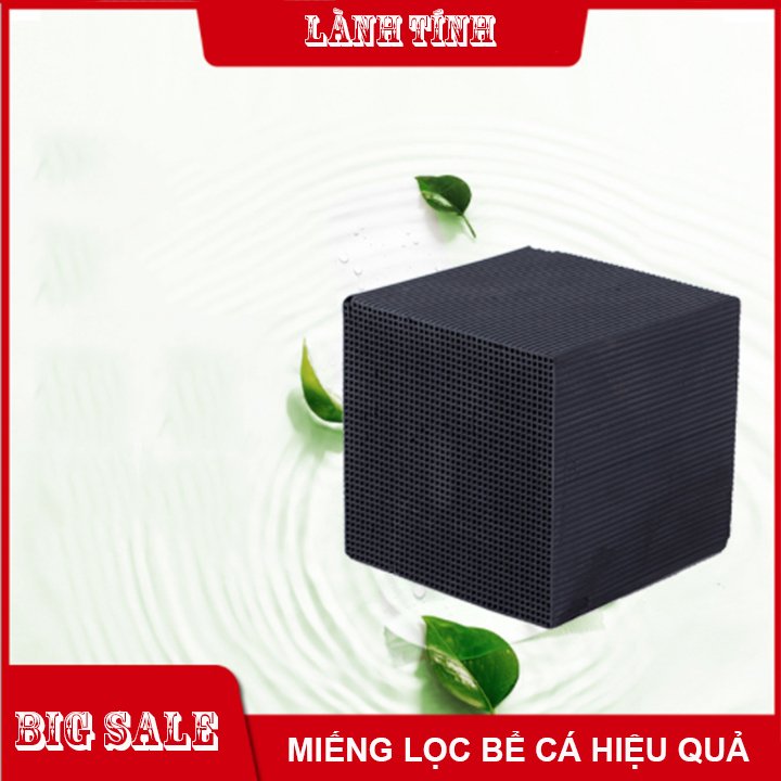 Than Hoạt Tính Chuyên lọc Nước cho hồ cá, Khử Mùi, Lọc Không Khí loại 10x10x5
