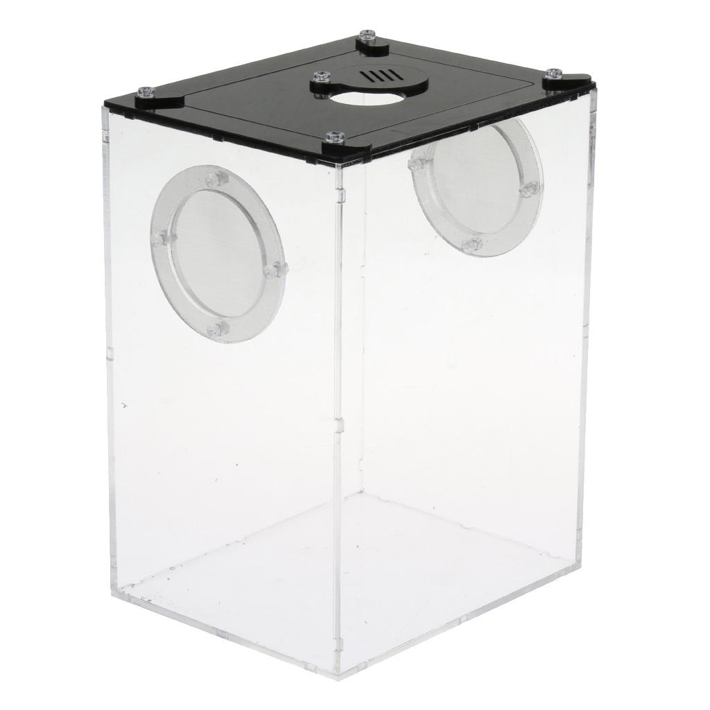 Mini Reptile Acrylic Terrarium Full View Visually Reptile Habitat Box