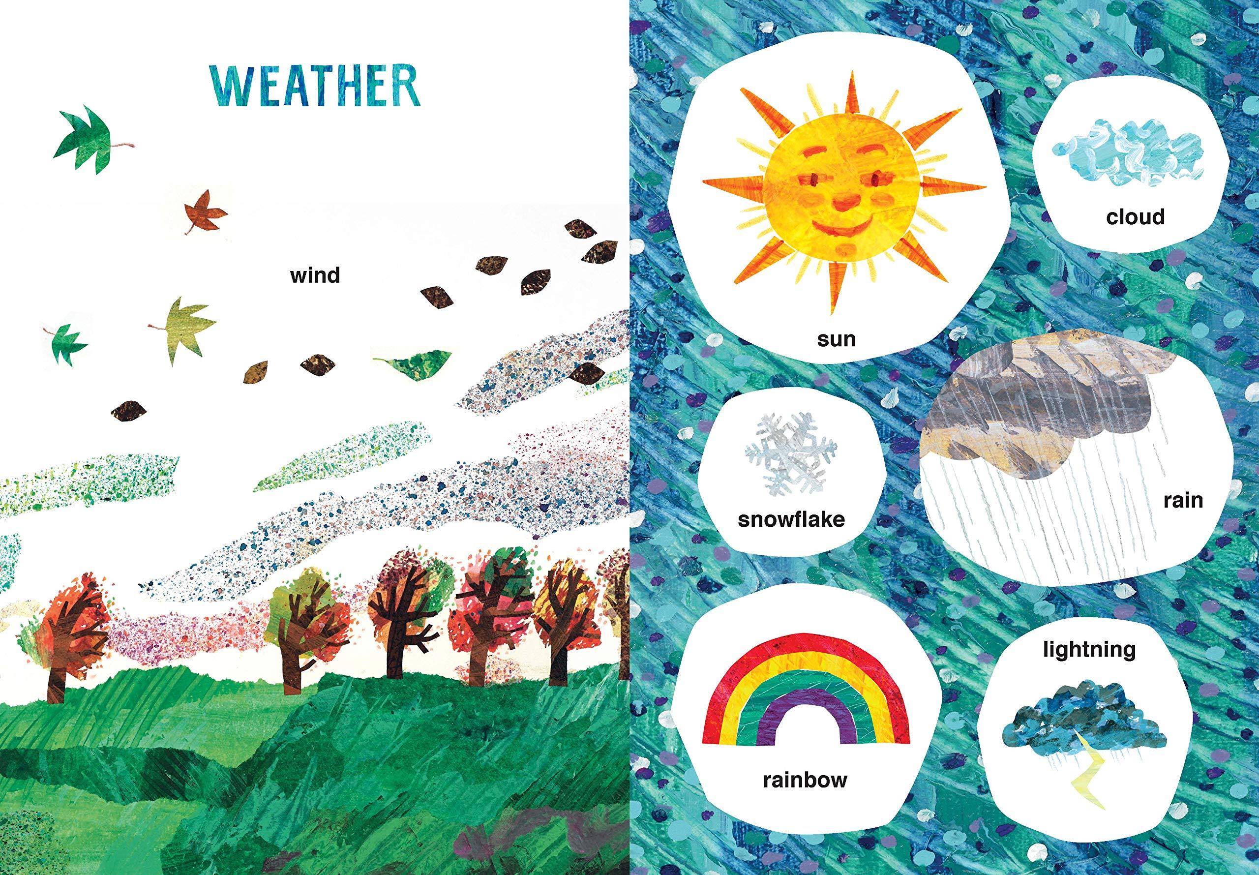 Eric Carle A Book of Things