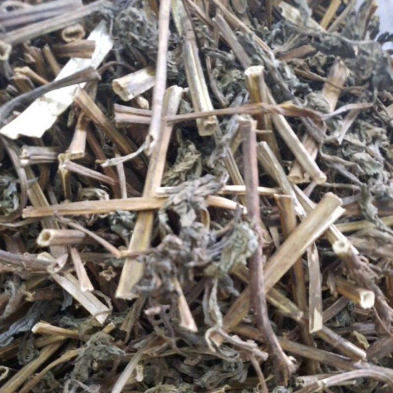 cây bạc hà khô thơm đóng túi 1kg