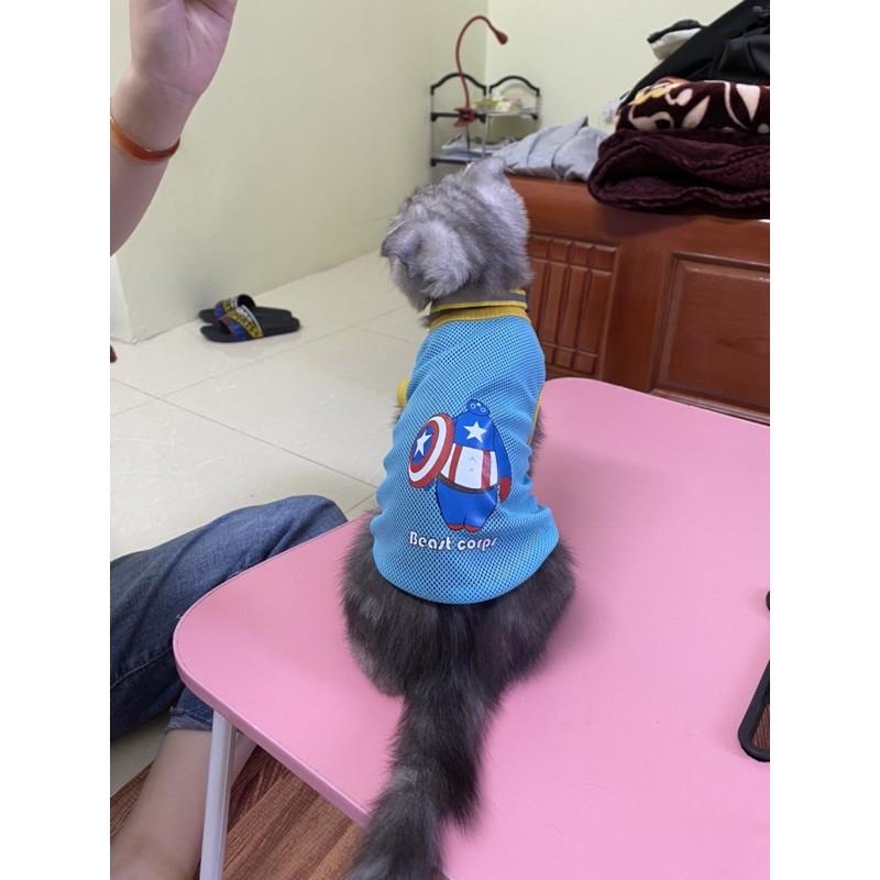 Áo lưới cực xinh cho chó mèo