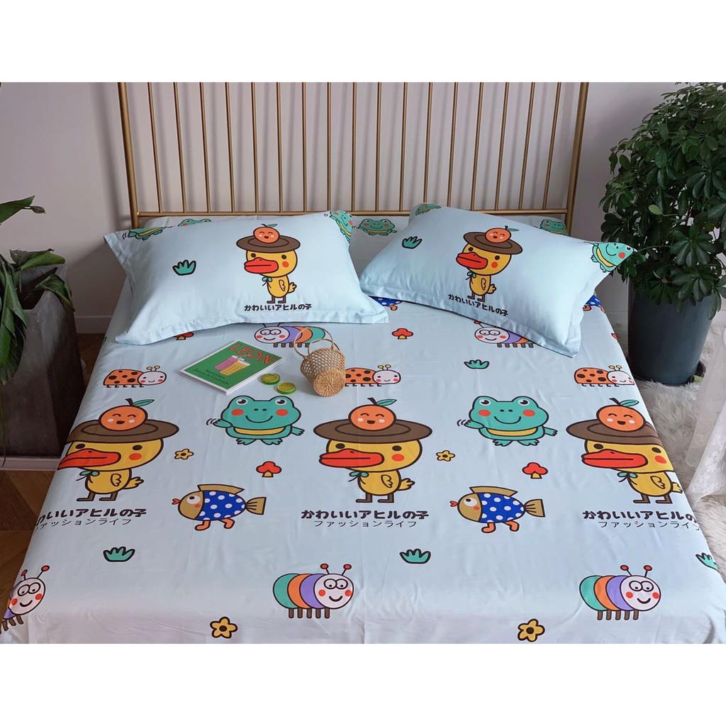 Bộ ga giường và vỏ gối Cotton