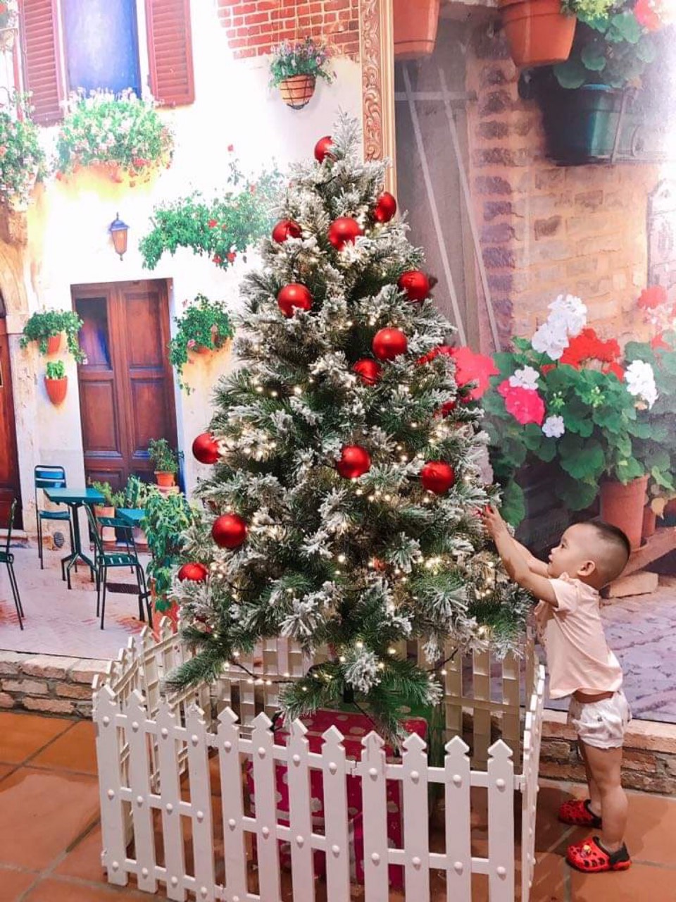 Cây Thông Noel Phủ Tuyết Cao Cấp (Nhiều Kích Thước) Cây Thông Phủ Tuyết Hàng Đẹp