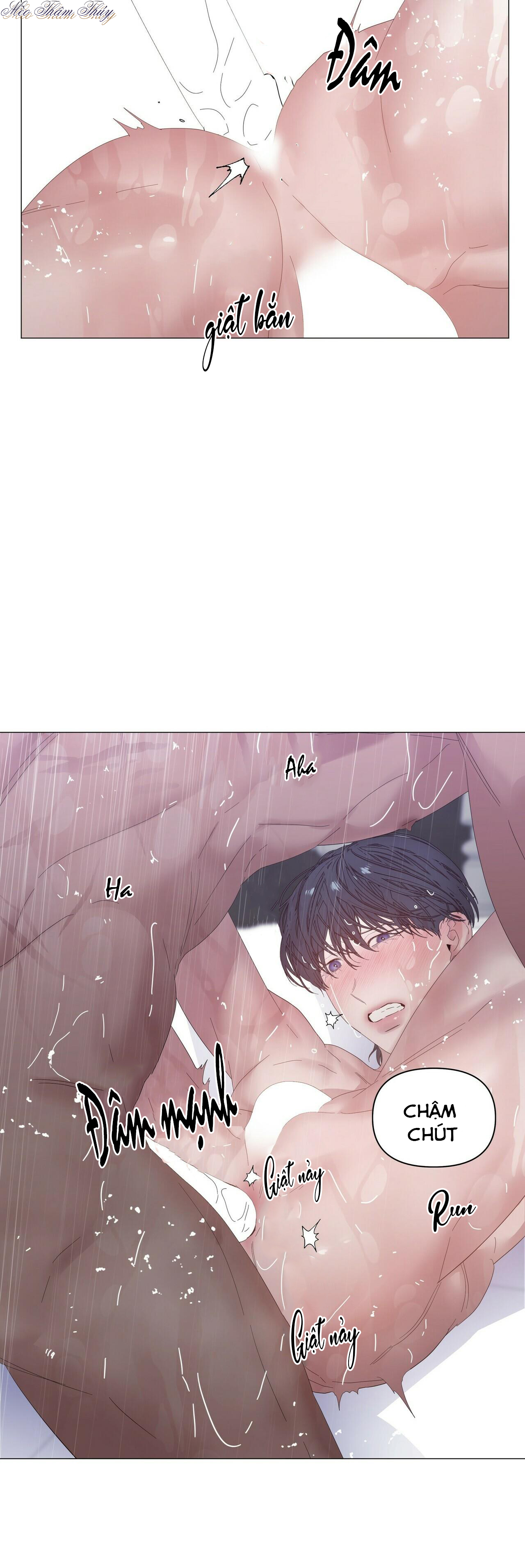 hội chứng chapter 36 12