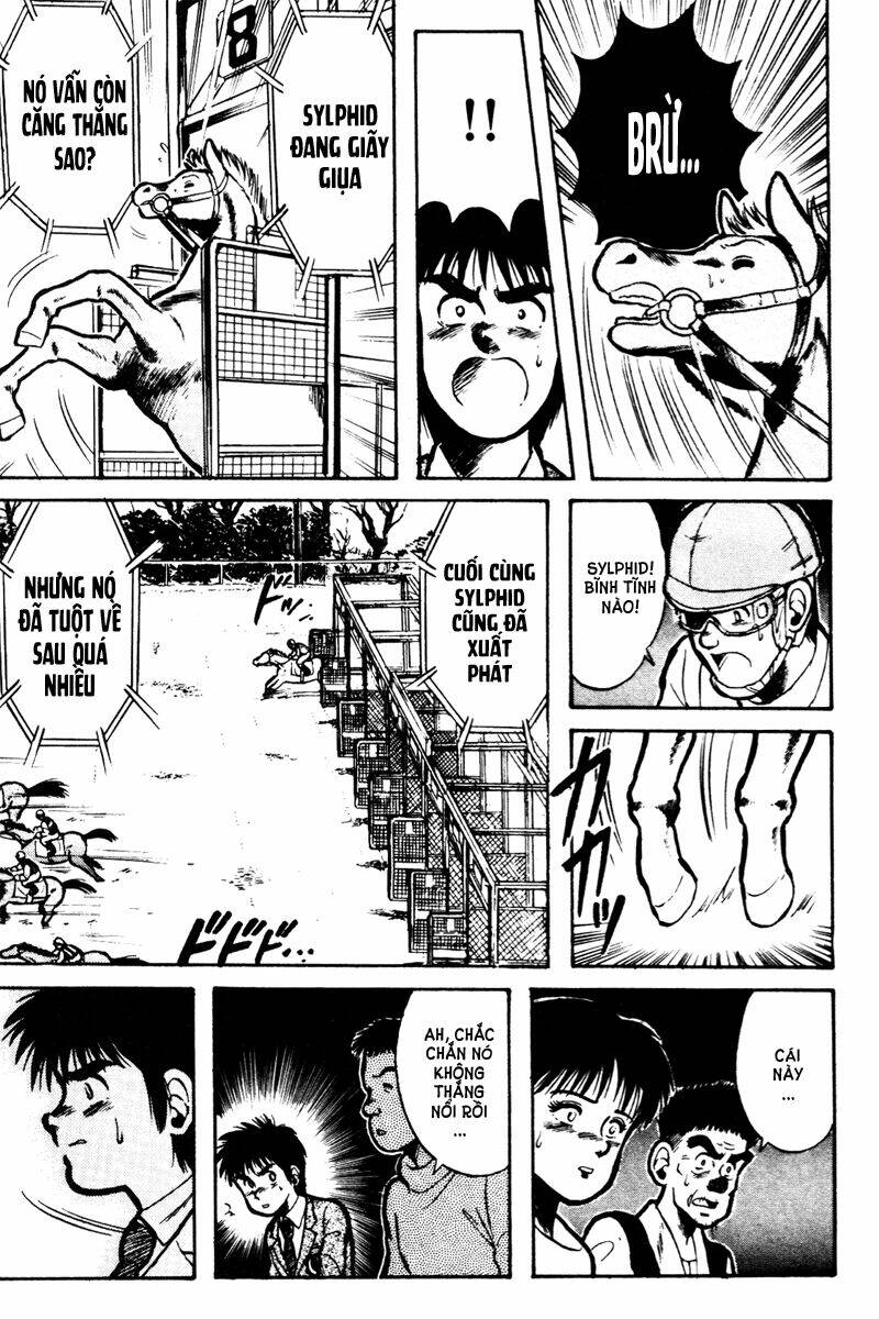 kaze no sylphid - phong mã silphid chapter 14 14