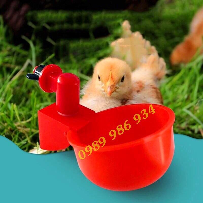 Máng uống tự động cho gà ngan vịt loại đẹp dày dễ sử dụng