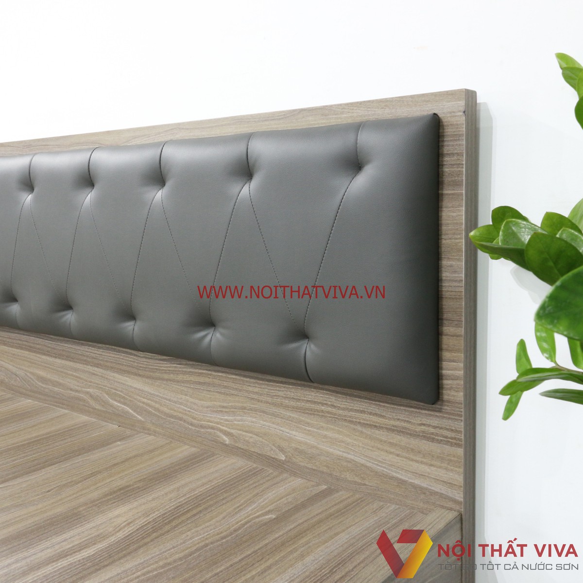 Giường Ngủ Gỗ MDF Melamine Màu Xám Vân Gỗ Có Đầu Nệm Đen Đẹp Giá Rẻ