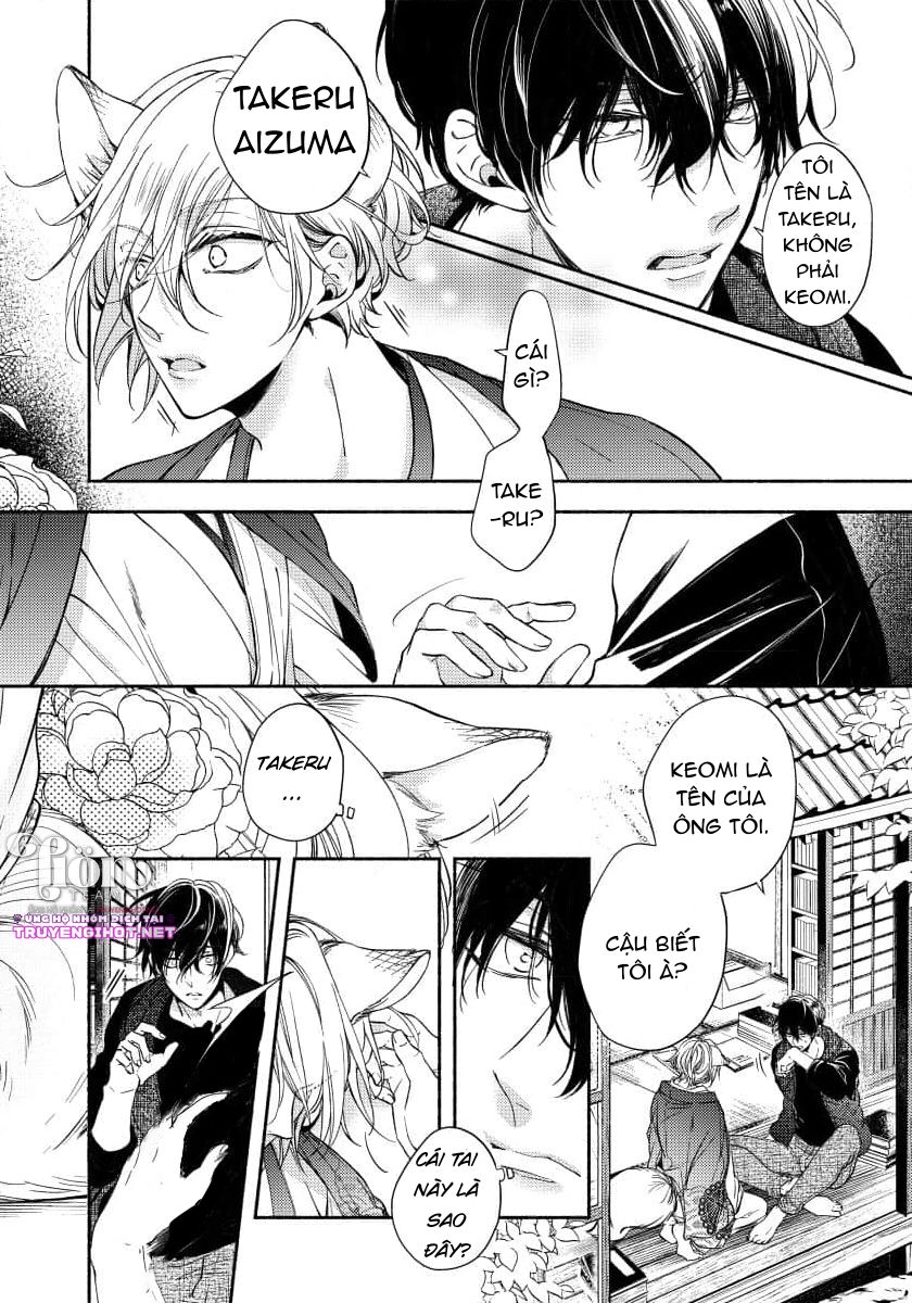 [18+]chú cáo thích nói dối chapter 1.1 6