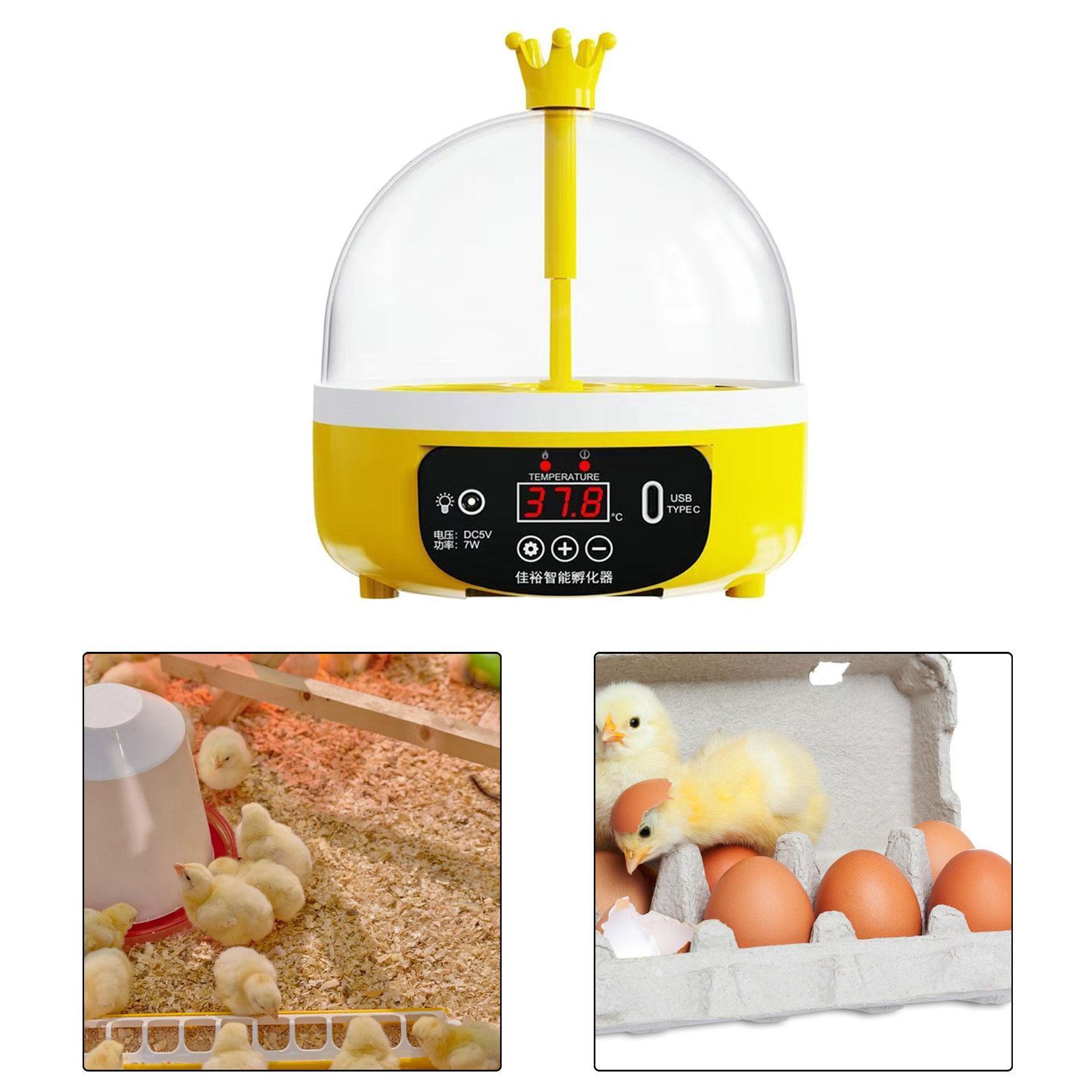 Egg Incubator Egg Turner Tray Household Hatching Chicken Incubator for Quail