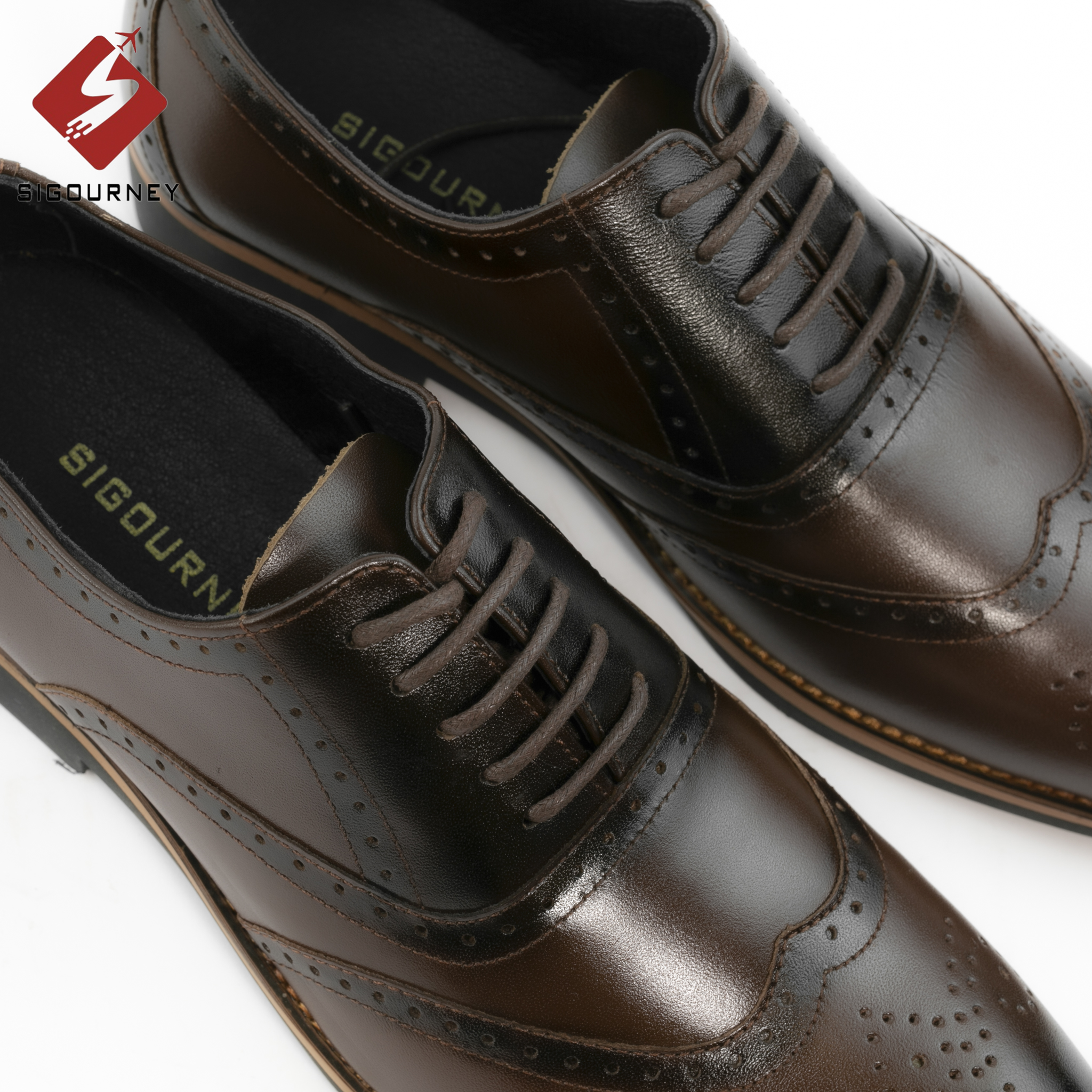 Giày Oxford Nam Họa Tiết Brogues Đục Lỗ Cực Đẹp SIGOURNEY Da Bò Màu Nâu Patian SIG-26 Bảo Hành 18 Tháng