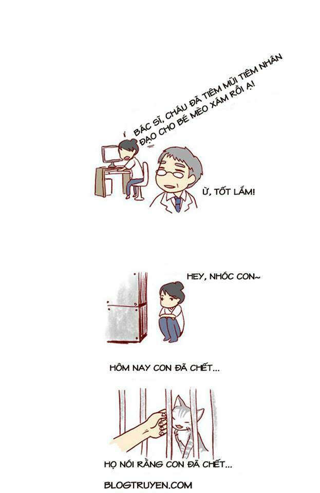 my kitty and old dog chapter 10 8