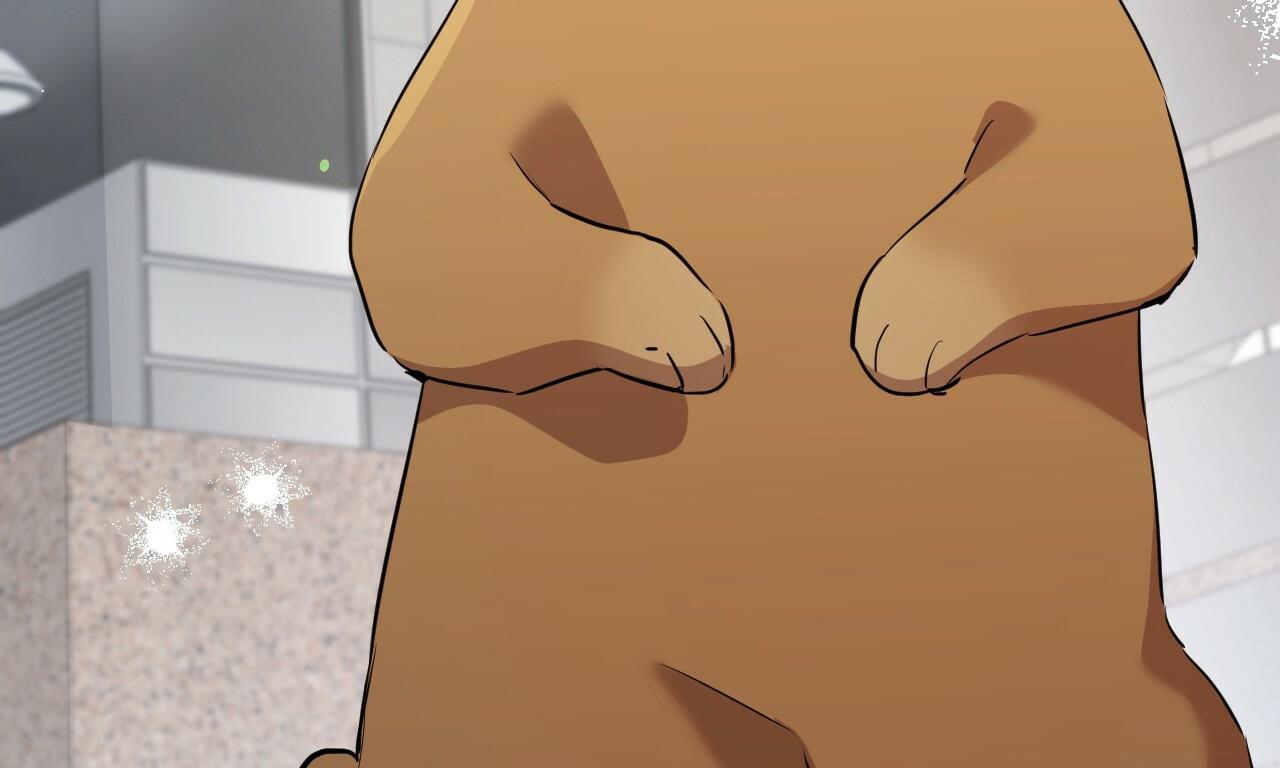 đàn thỏ của habibi chapter 48 85