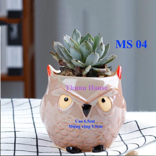 Chậu Cú mèo mini bằng sứ
