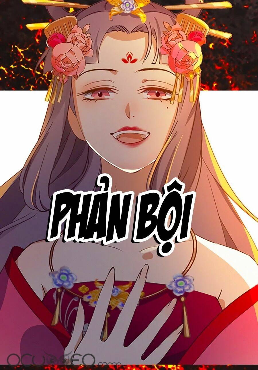 ngự thú linh phi chapter 0 5