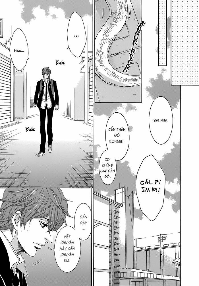 oinarisama no honey bunny chapter 11 11