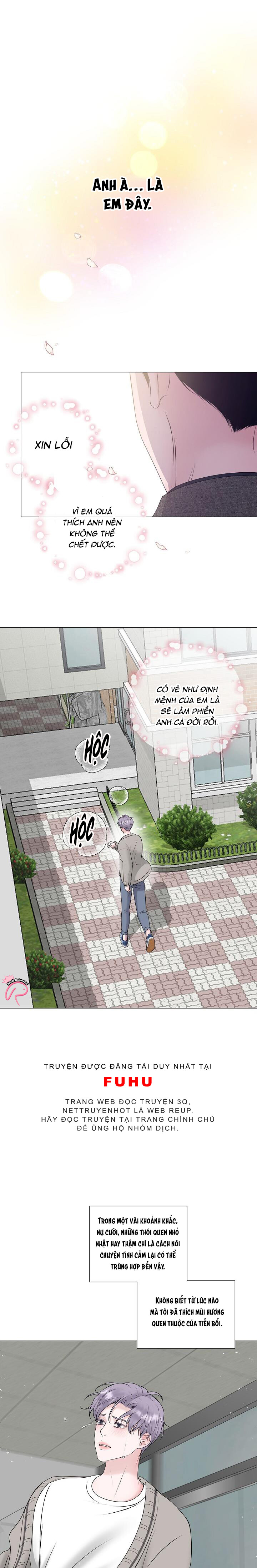 tiền bối của anh chapter 24 1