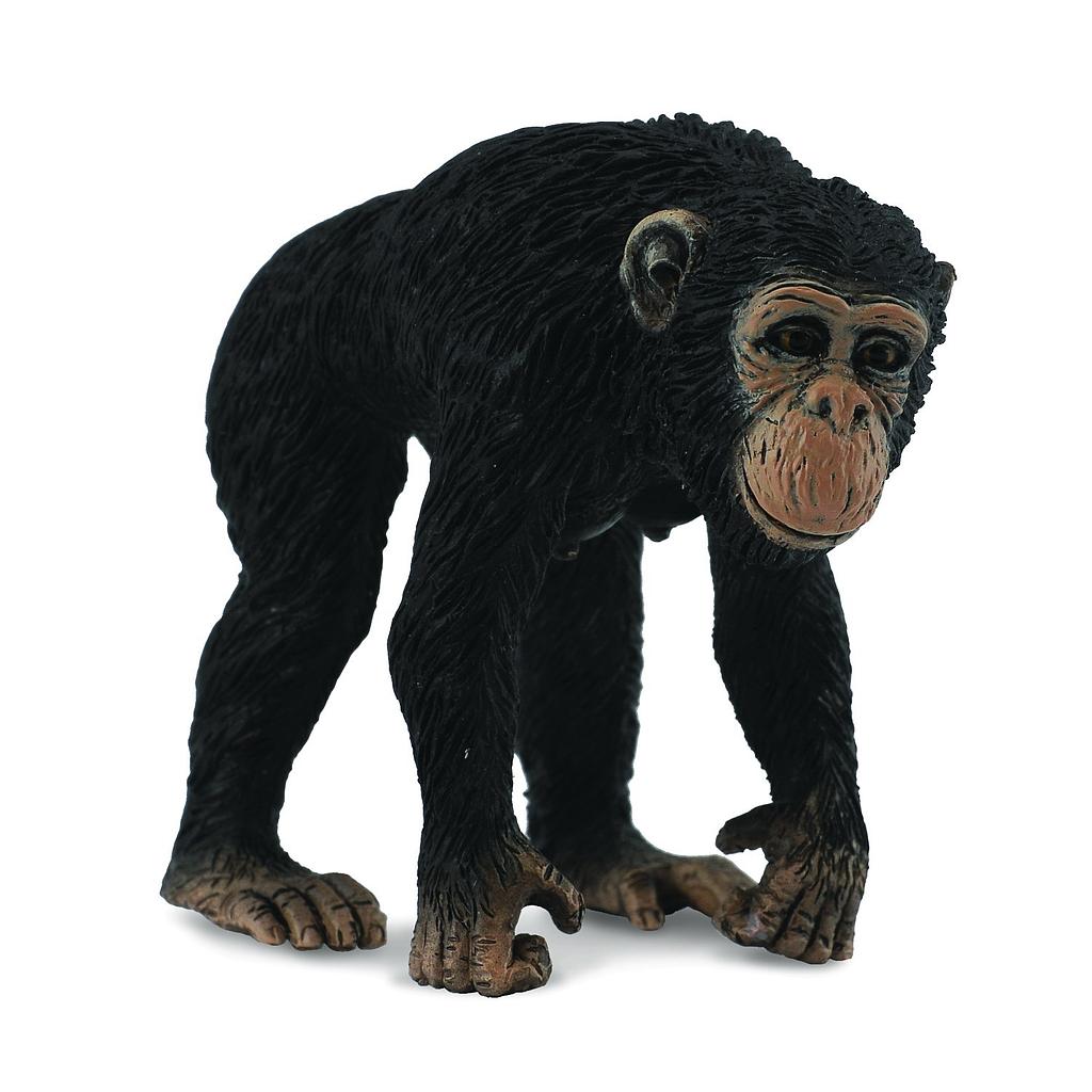 Mô hình thu nhỏ: Tinh Tinh mẹ - Chimpanzee Female, hiệu: CollectA, mã HS 9651030 - Chất liệu an toàn cho trẻ - Hàng chính hãng