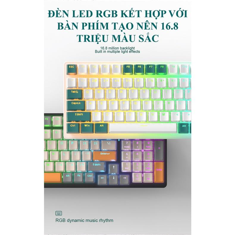 Bàn phím cơ red switch gaming ZIYOULANG K3 loại 87 KEYS - led đa màu 10 chế độ - Nhất Tín Computer