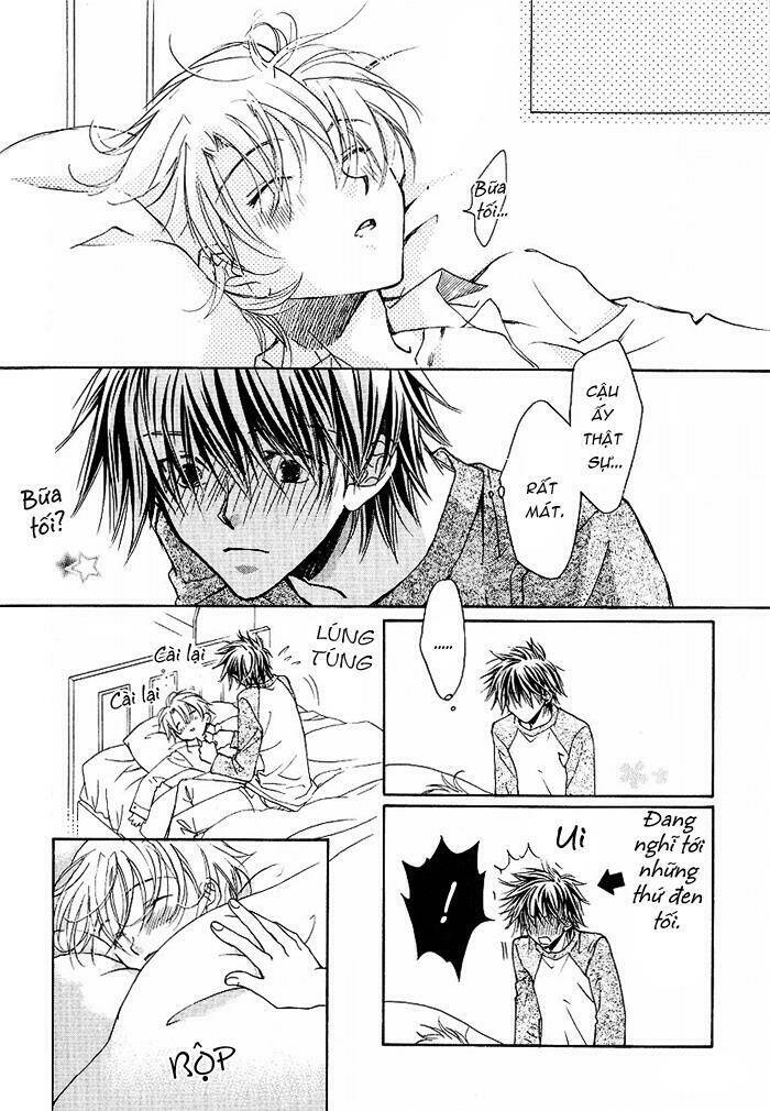 cánh bướm nhỏ cô độc chapter 15.5 8