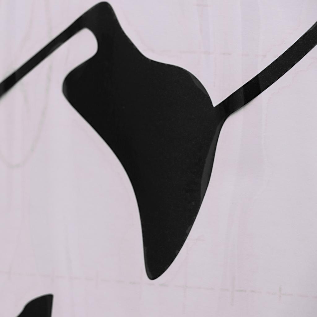 Auto Body Side Stripes Vinyl Graphics  Sticker Decal