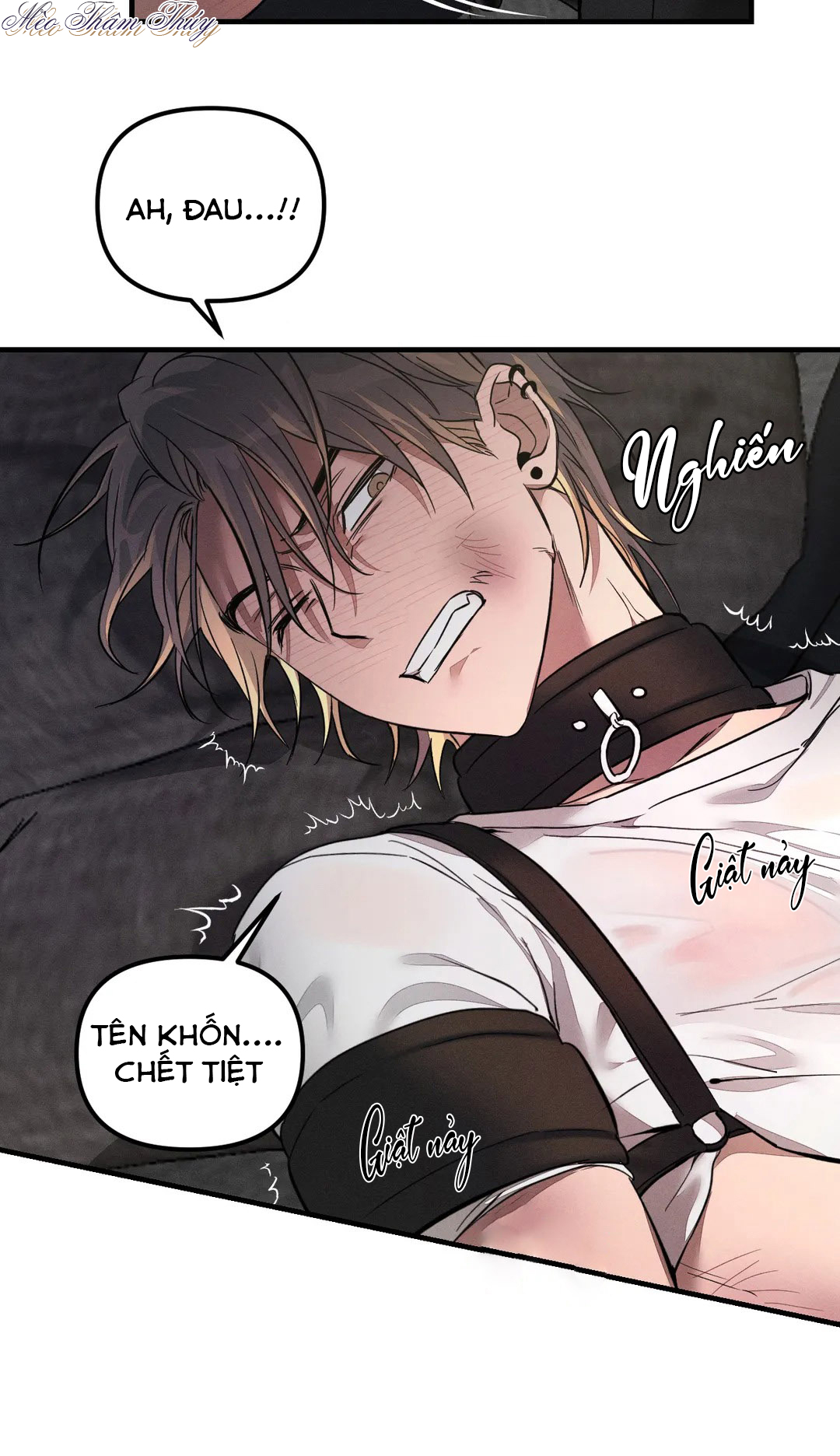 huấn luyện thú cưng chapter 3 20