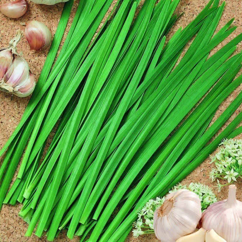 Hạt Giống Hẹ Lá Duyên Hải Gói 2gram TN174