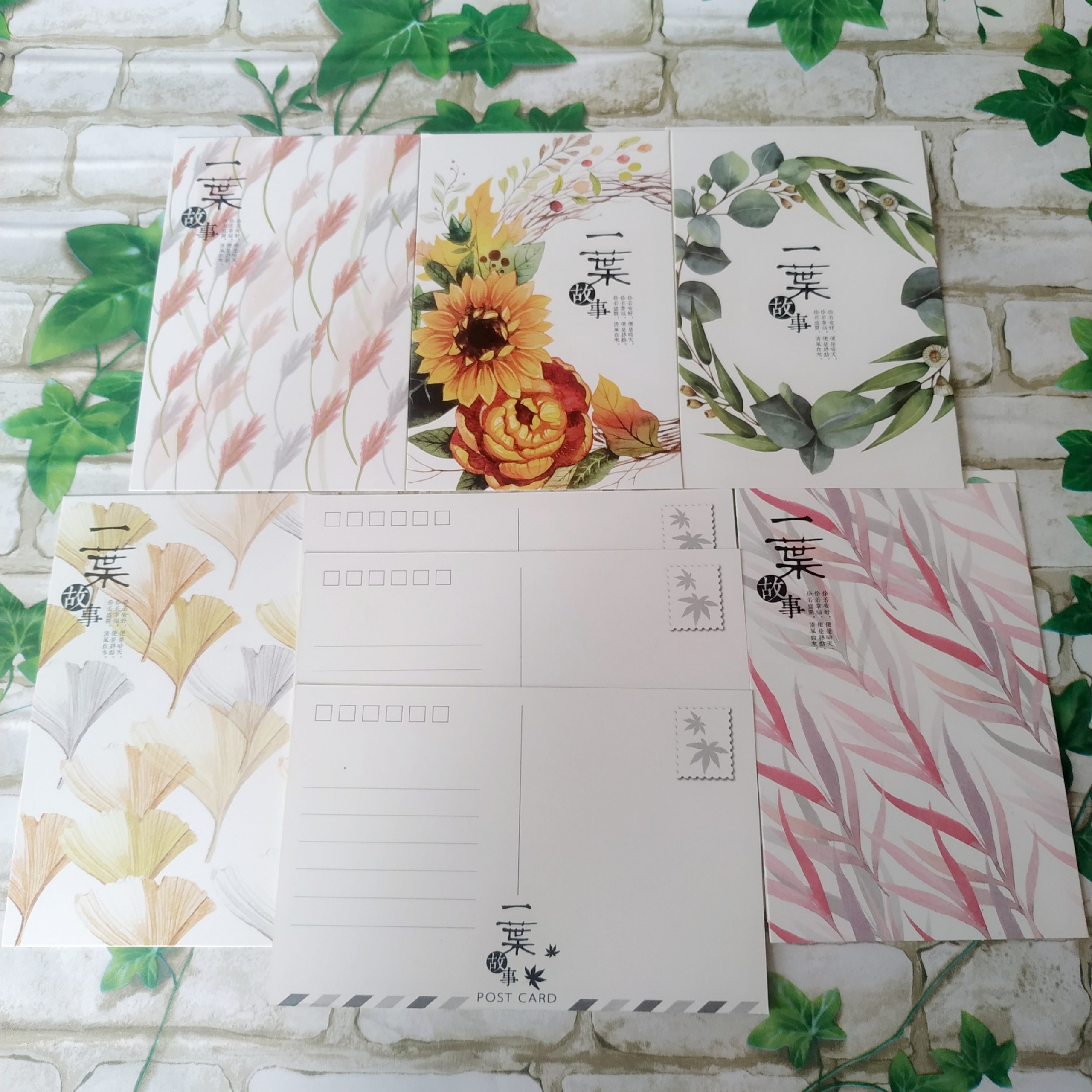 Hộp 36 Post Card Chủ Đề Hoa Lá