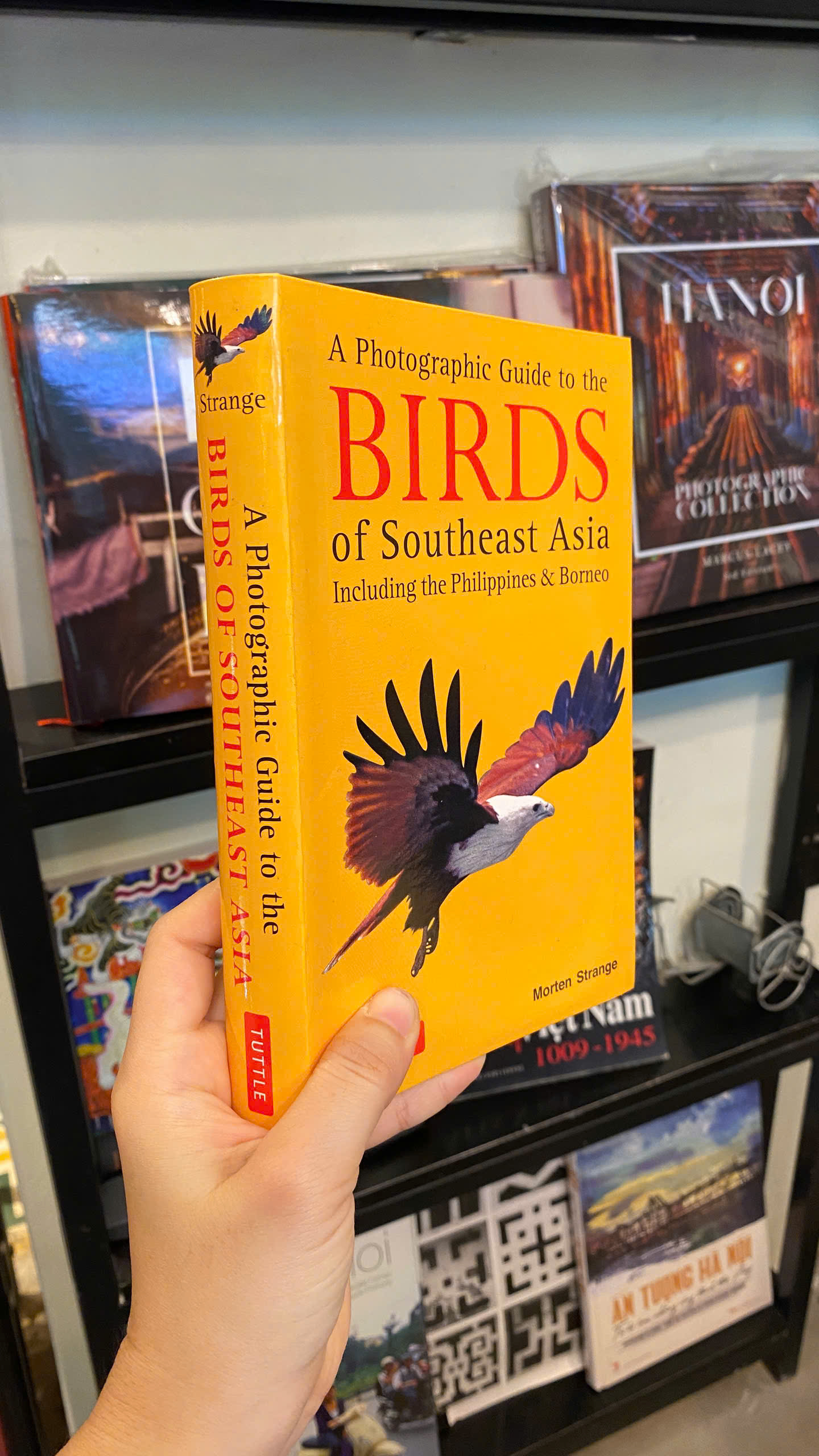 Sách - A Photographic Guide to the Birds of Southeast Asia | Nature / Ngoại văn Nhập khẩu