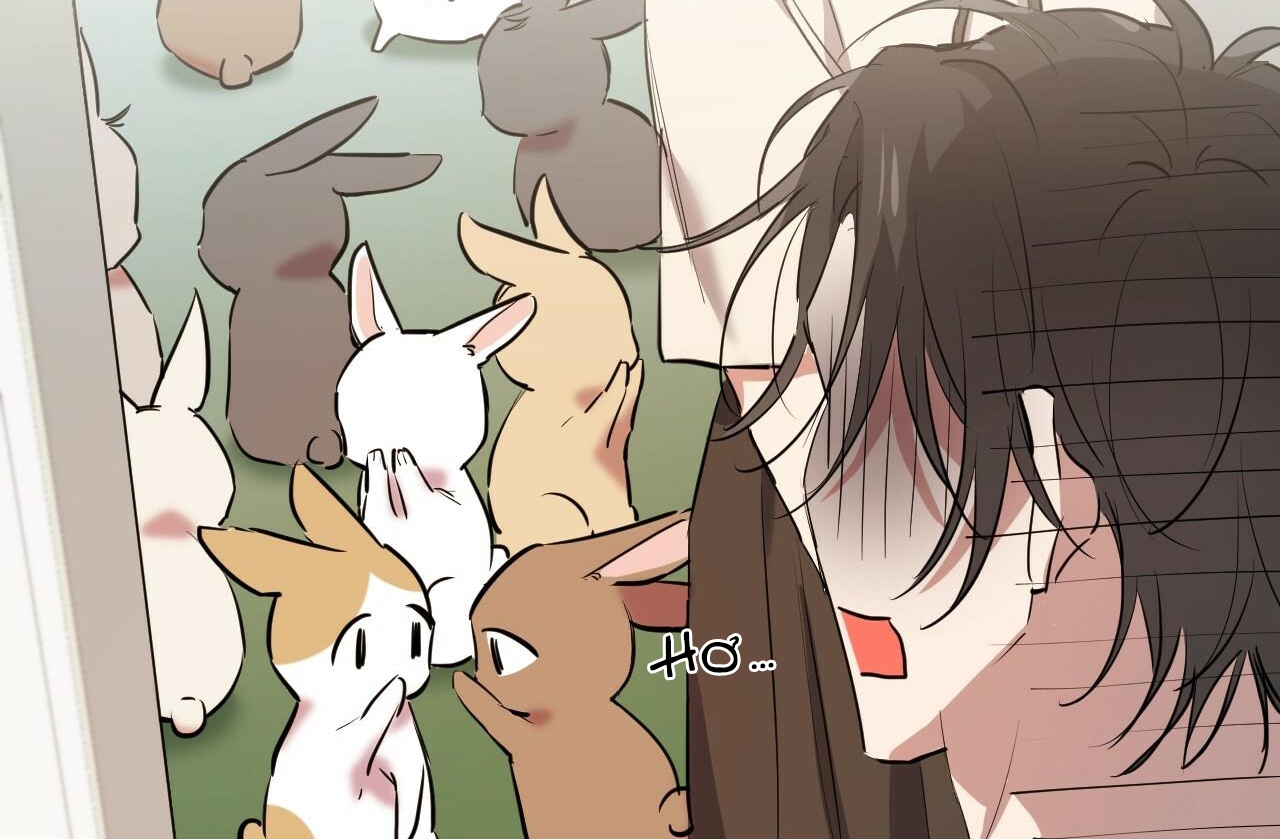 đàn thỏ của habibi chapter 39 150