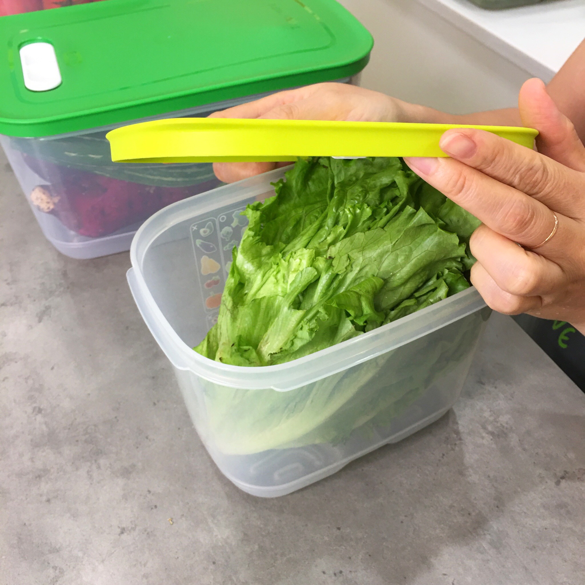 Bộ Hộp Tupperware Trữ Mát Có Nút Hô Hấp Ventsmart 6 Hộp - Nữ Hoàng Trữ Mát - Tươi Đến 3 Tuần