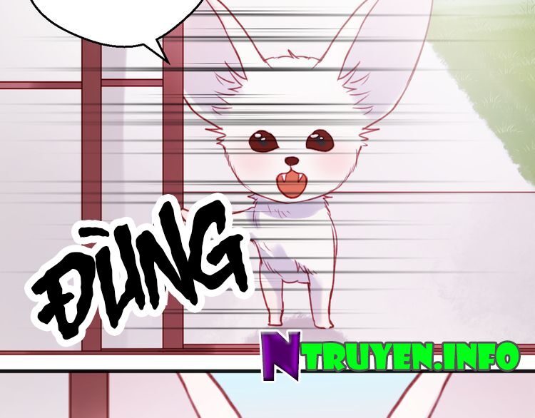 lượm được một tiểu hồ ly phần 1 chapter 75 37