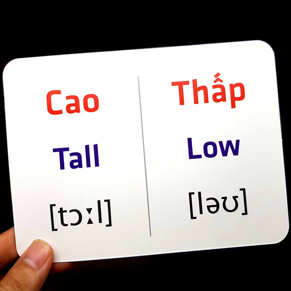 Flash card Theo phương pháp giáo dục sớm của Glenn Doman Chủ đề Sự Đối Lập  – Thẻ học thông minh (song ngữ Anh Việt)