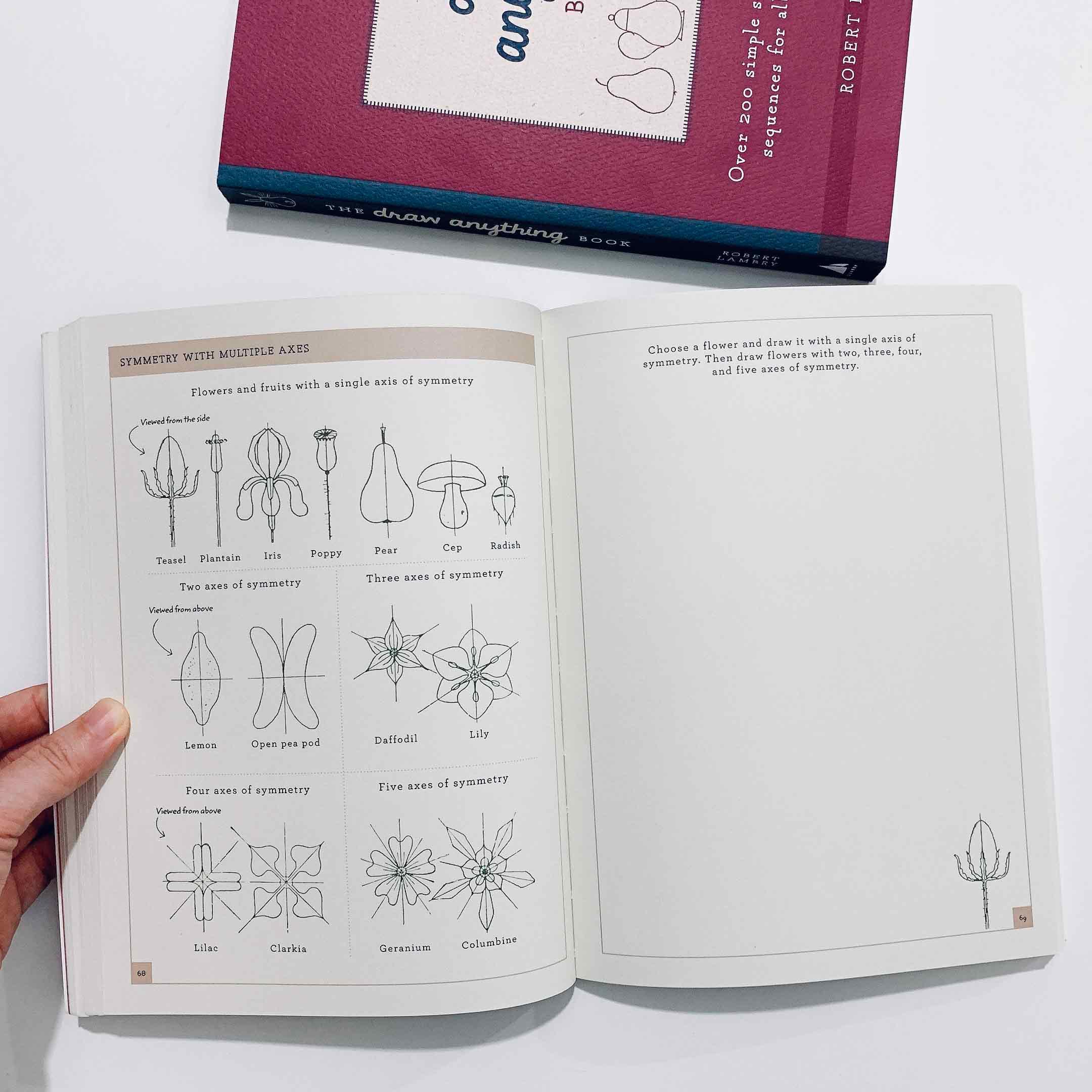 The Draw Anything Book