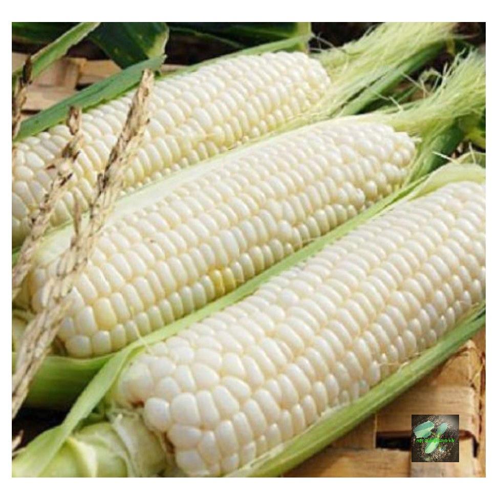 Hạt giống bắp nếp nù, đóng gói 100gr