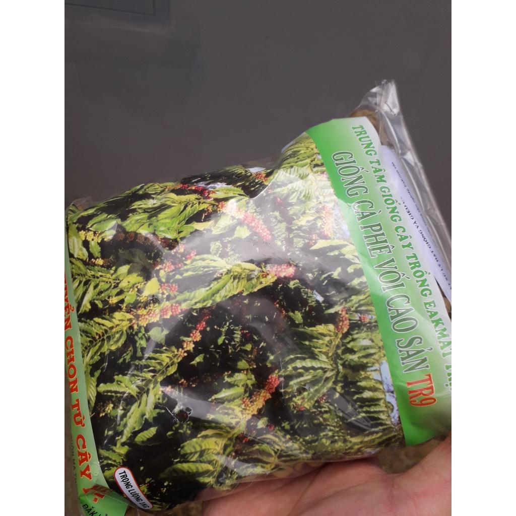 0.5 KG HẠT GIỐNG CÀ PHÊ VỐI TR9 CAO SẢN .