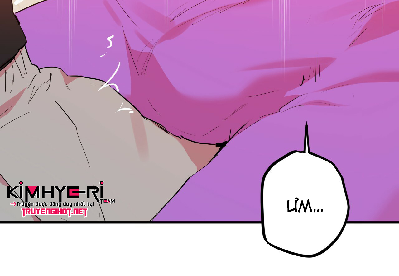 những chú thỏ của hapypy chapter 11 105