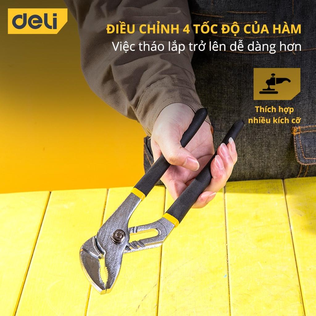 Kìm Mỏ Quạ Deli 10 Inch Cao Cấp - Giúp Giữ, Kẹp, Cắt Vật Dụng, Dành Cho Thợ Điện Nước Chuyên Nghiệp - DL2610