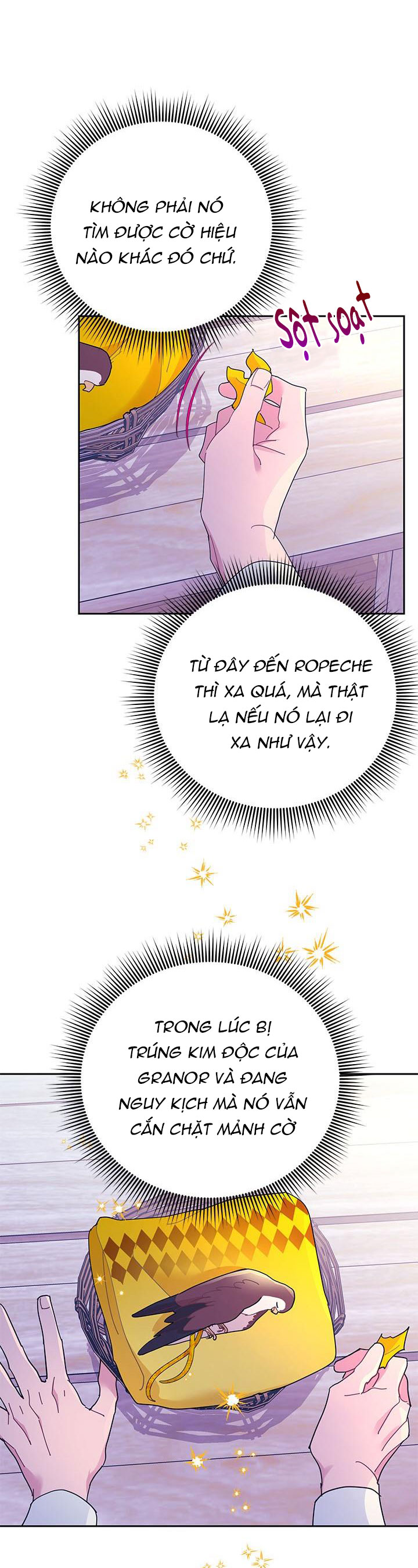 công chúa của loài chim chapter 39.1 5