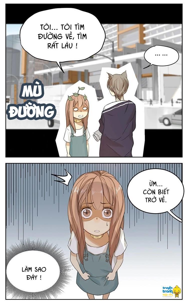 cứu mạng ! loài mèo thống trị thế giới rồi ! chapter 12 15