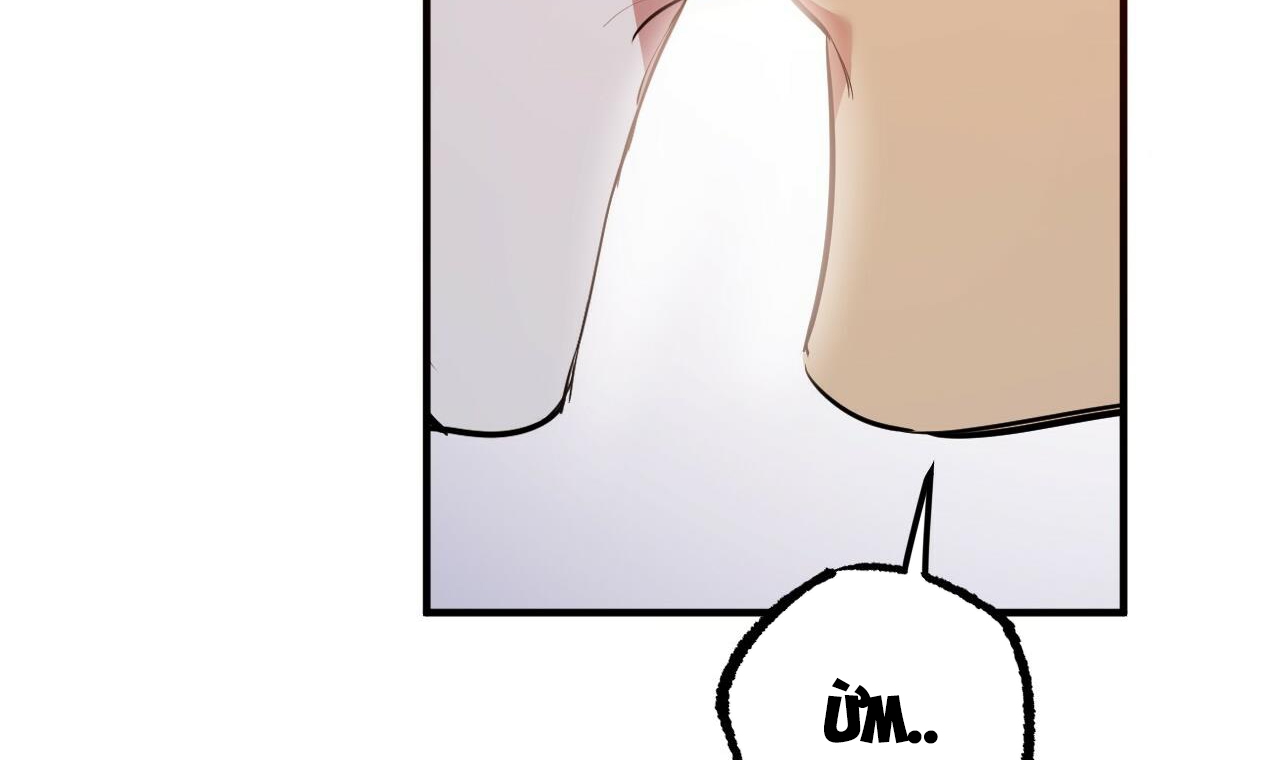 đàn thỏ của habibi chapter 37 287