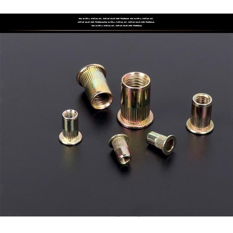 Combo 100c Ốc tán rút M10