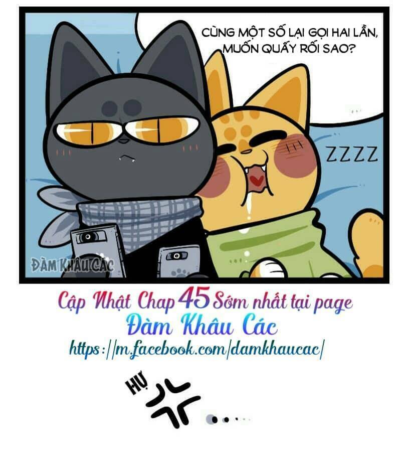 đời không như mình tưởng chapter 44 9