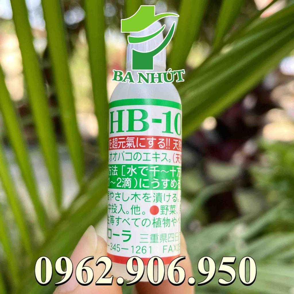 HB 101 6ml Nhật Bản Siêu Kích Rễ, Phục Hồi Cây Suy Yếu, Tăng Cường Ra Rễ Và Thúc Đẩy Hồi Phục Cây Suy Yếu