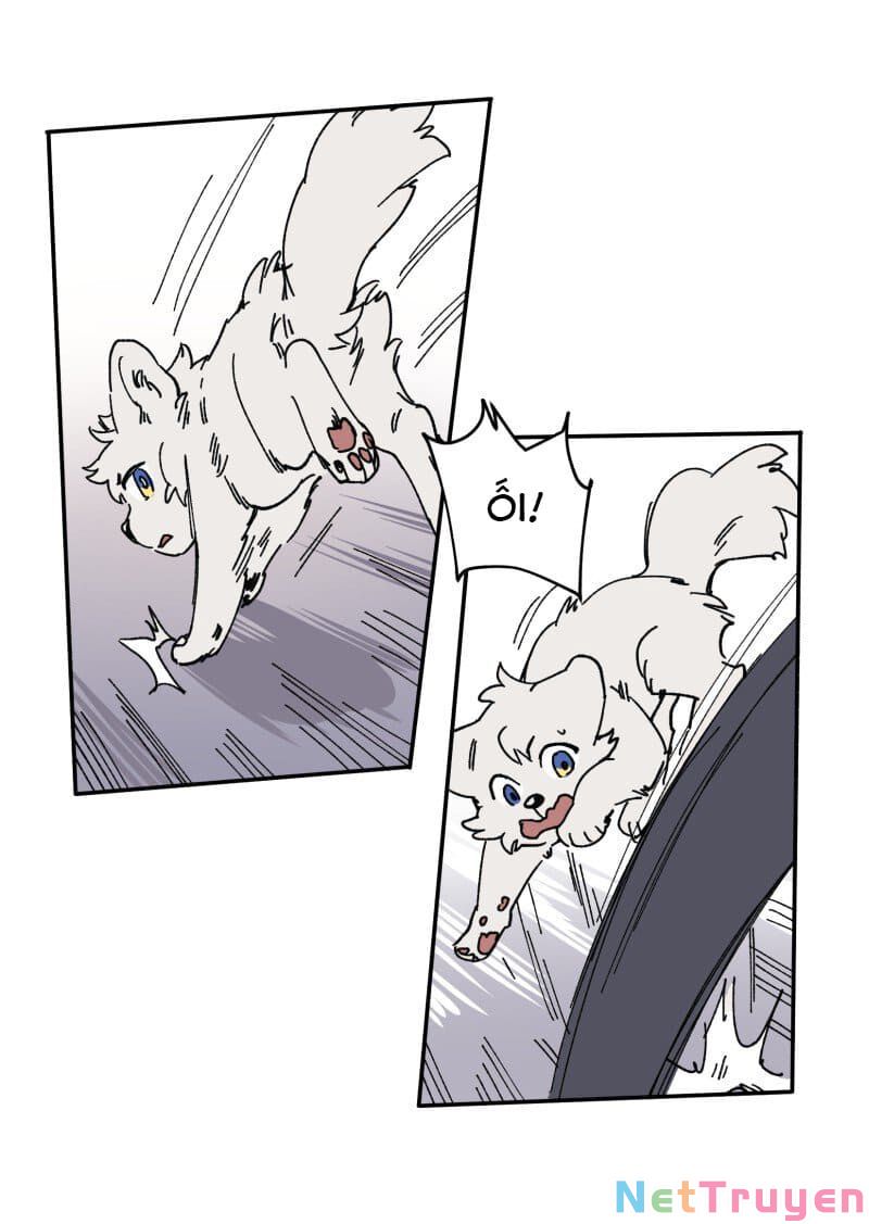 lumine - cội nguồn ánh sáng chapter 90 30