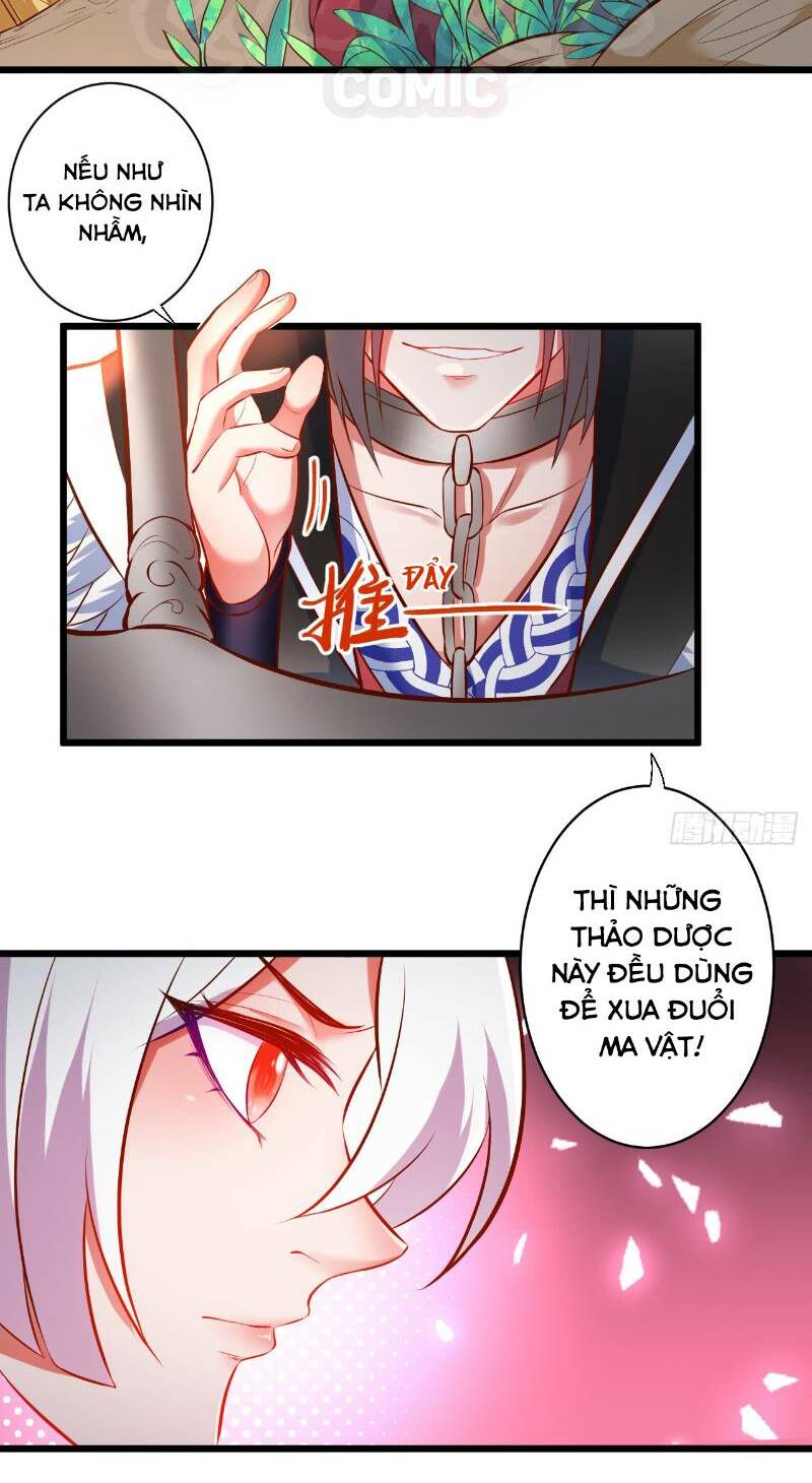 trọng sinh tối cường ma tôn ở rể chapter 32 31