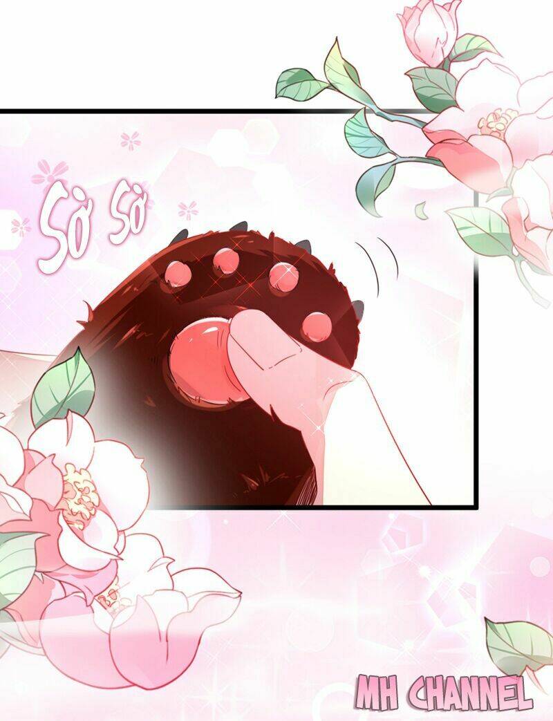 thiên thần gấu trúc muốn được ôm chapter 13 17