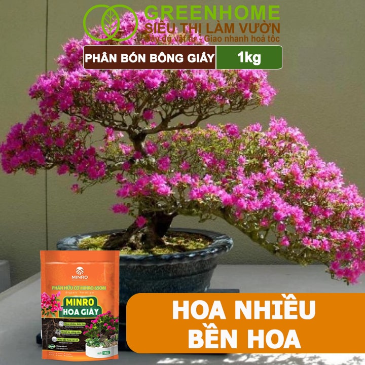 Phân Bón Hoa Giấy Greenhome, Minro, Bao 1kg, Hữu Cơ, Cứng Thân, Tạo Tán, Ra Bông Nhiều, Lâu Tàn
