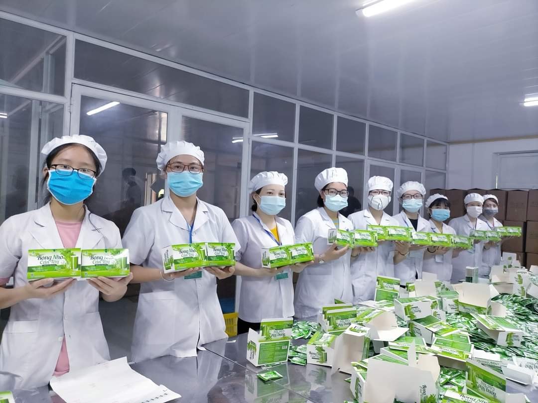 Rong nho cần tây diệp lục tảo xoắn organic