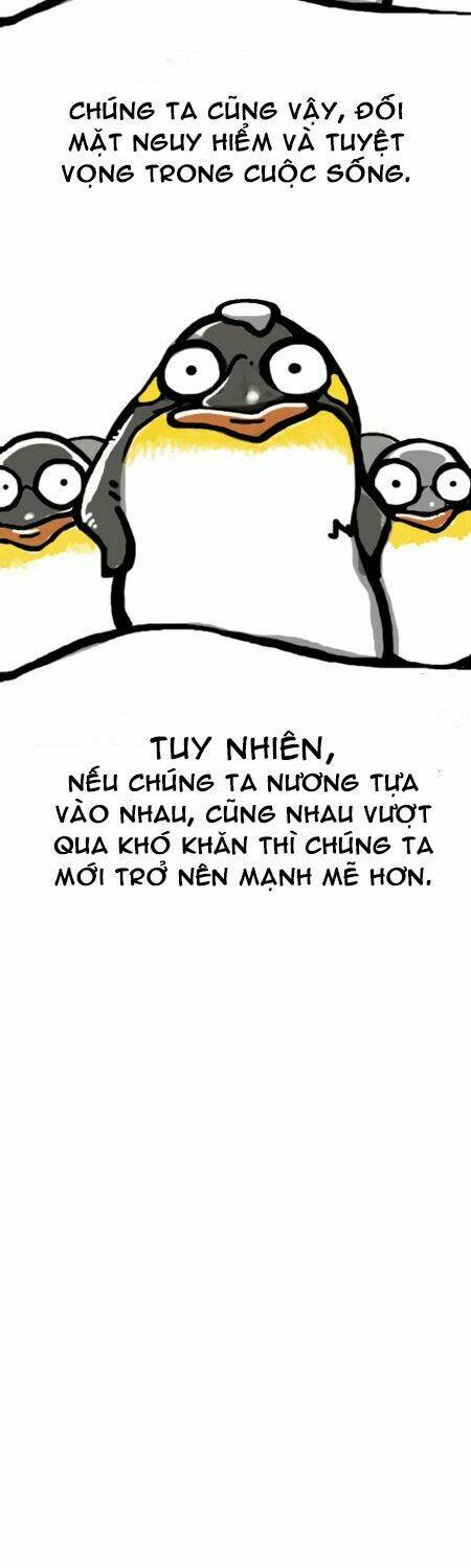 earth, human, and animal chapter 7 15